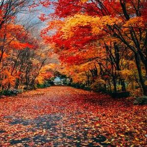 5th Grade Dubose's aMAZEing 5th